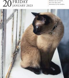 Calendar de birou 2023 - Page-A-Day - Cat