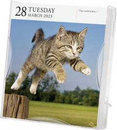 Calendar de birou 2023 - Page-A-Day - Cat