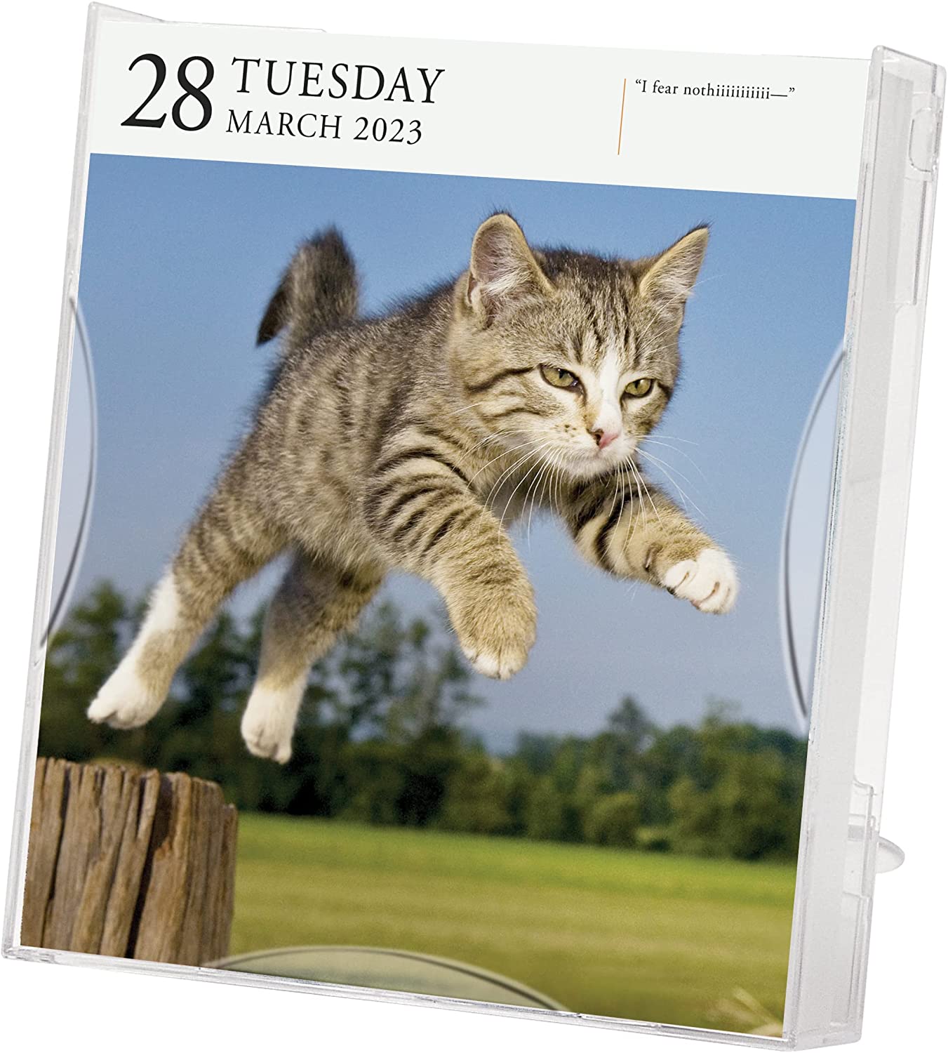 Calendar de birou 2023 PageADay Cat Workman Publishing