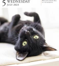 Calendar de birou 2023 - Page-A-Day - Cat