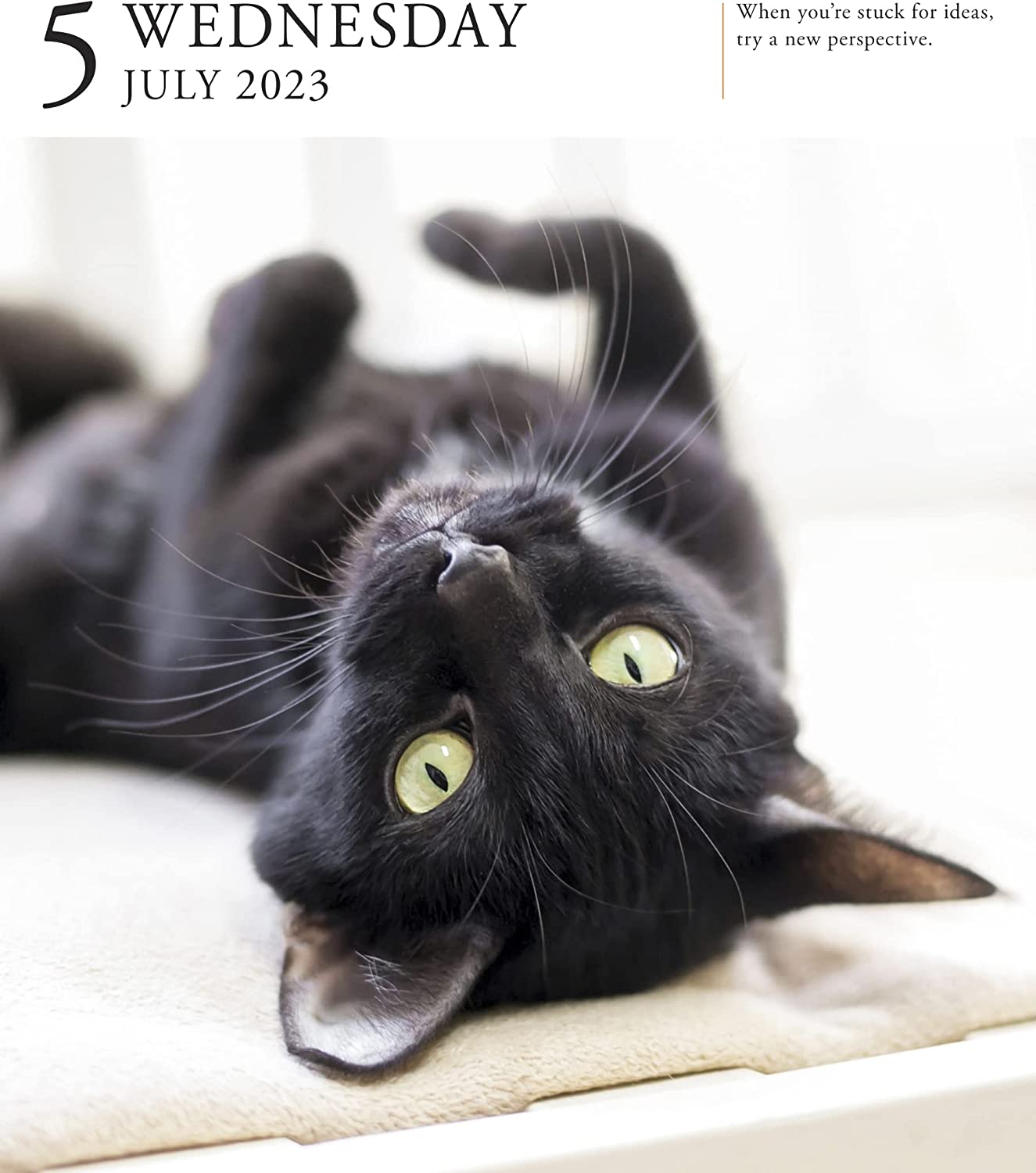 Calendar De Birou 2023 Page A Day Cat Workman Publishing Calendar De Birou 2023 Page A Day Cat Workman Publishing