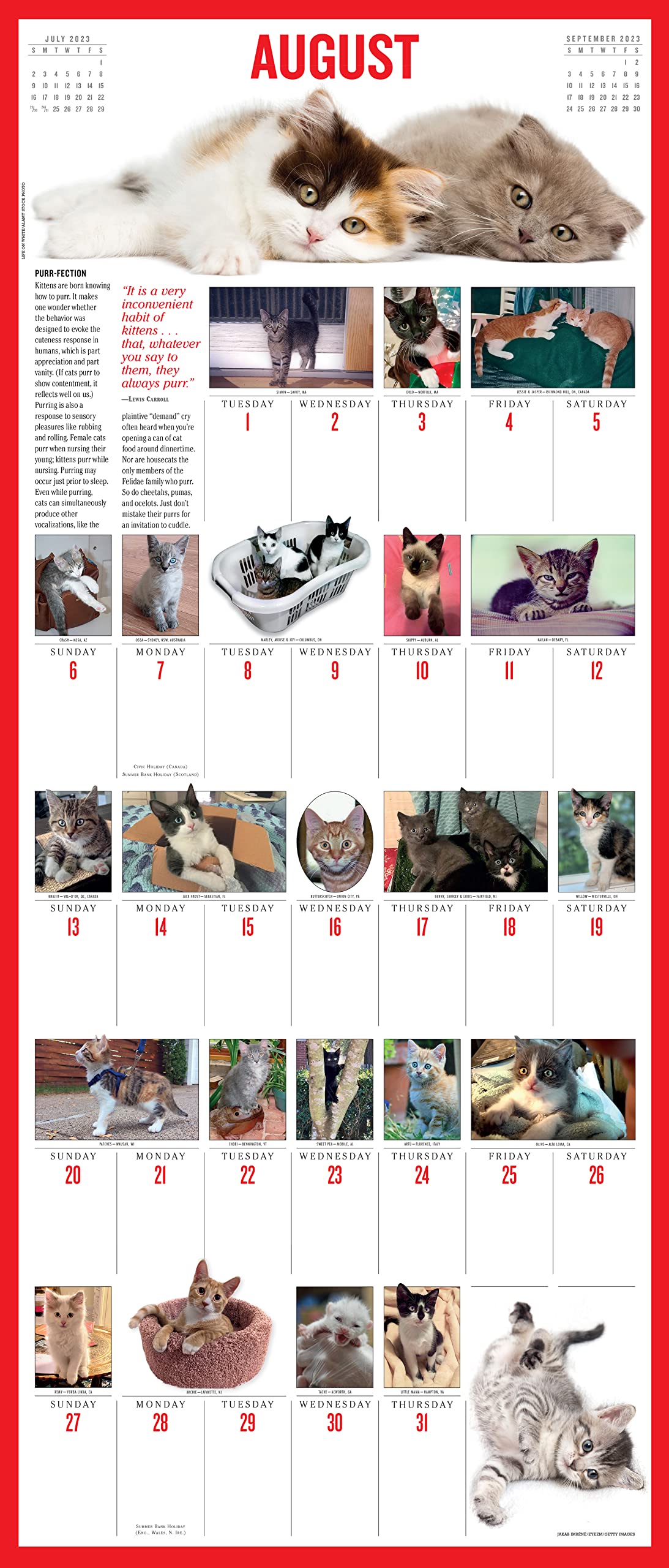 calendar-de-perete-2023-picture-a-day-365-kittens-a-year-workman