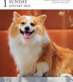 Calendar de birou 2023 - Page-A-Day - Dog