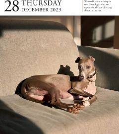 Calendar de birou 2023 - Page-A-Day - Dog