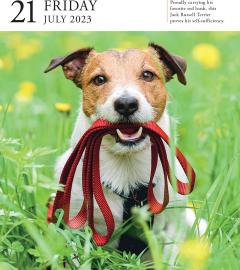 Calendar de birou 2023 - Page-A-Day - Dog