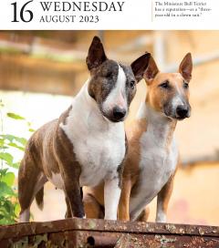 Calendar de birou 2023 - Page-A-Day - Dog