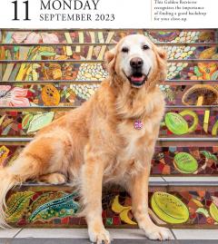 Calendar de birou 2023 - Page-A-Day - Dog