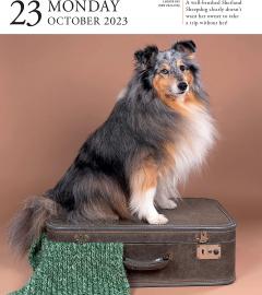 Calendar de birou 2023 - Page-A-Day - Dog