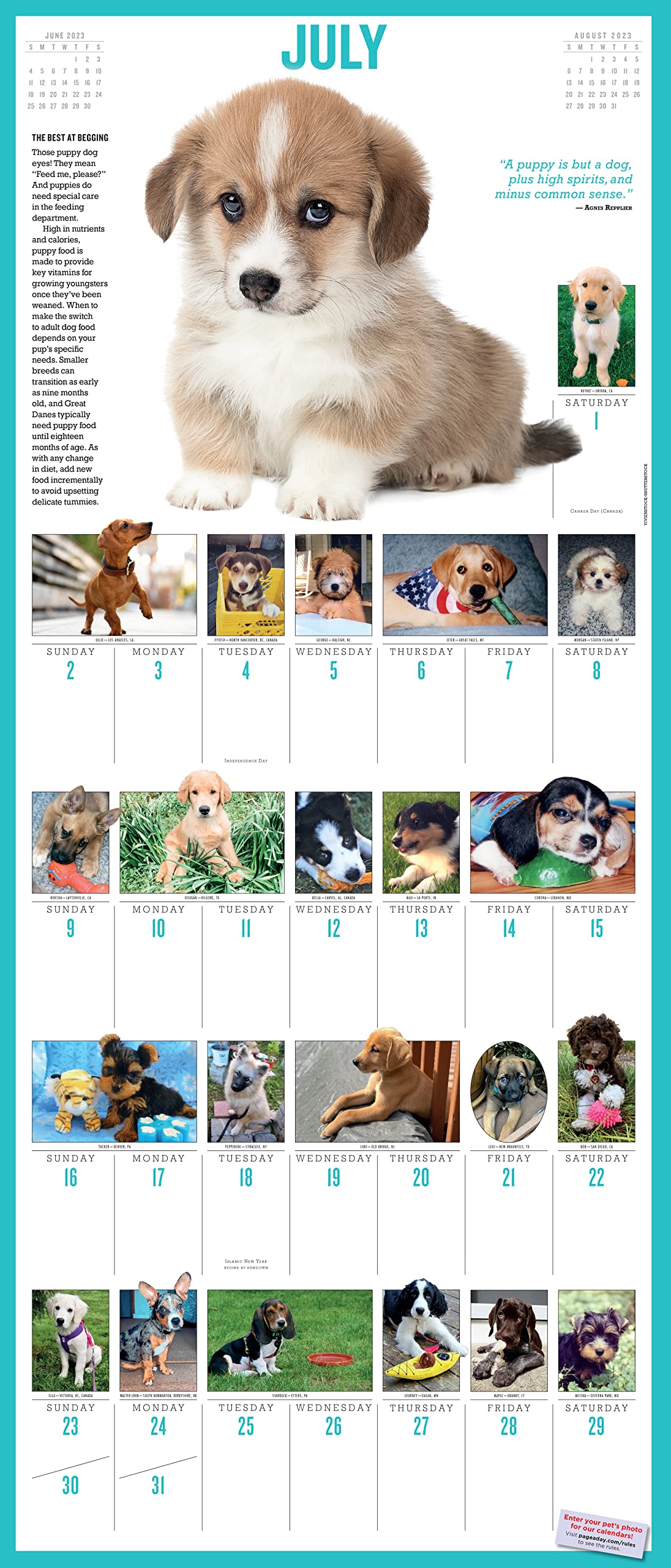 Calendar de perete 2023 PictureADay 365 PuppiesAYear Workman