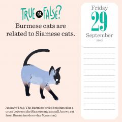 Calendar de birou 2023 - Page-A-Day - Cat Trivia