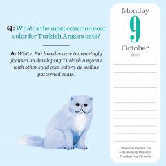 Calendar de birou 2023 - Page-A-Day - Cat Trivia