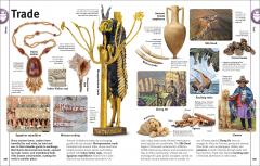 Our World in Pictures