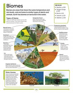 DK Children's Encyclopedia