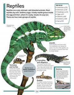 DK Children's Encyclopedia