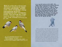 Everything, Beautiful