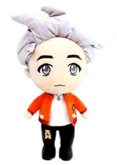 Jucarie de plus - Tinytan BTS - RM