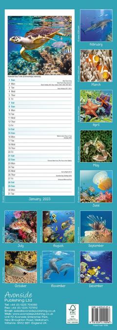 Calendar de perete 2023 - Slim - Ocean Life