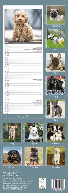 Calendar de perete 2023 - Slim - Puppies