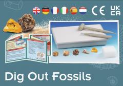 Set educativ STEM - Fosile antice