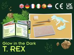 Set educativ STEM - T-Rex fosforescent
