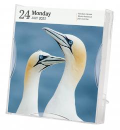 Calendar 2023 - Audubon Birds - Page-A-Day Gallery Calendar