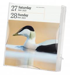 Calendar 2023 - Audubon Birds - Page-A-Day Gallery Calendar