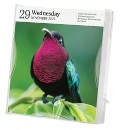 Calendar 2023 - Audubon Birds - Page-A-Day Gallery Calendar