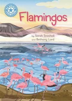 READING CHAMPION FLAMINGOES