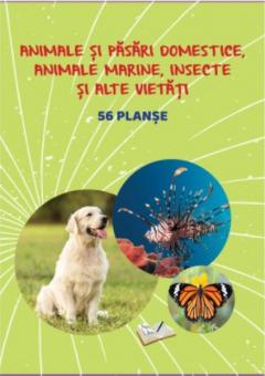 Mapa - Animale si pasari domestice, animale marine, insecte si alte vietati