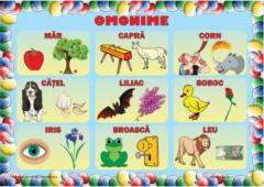 Set planse - Omonime