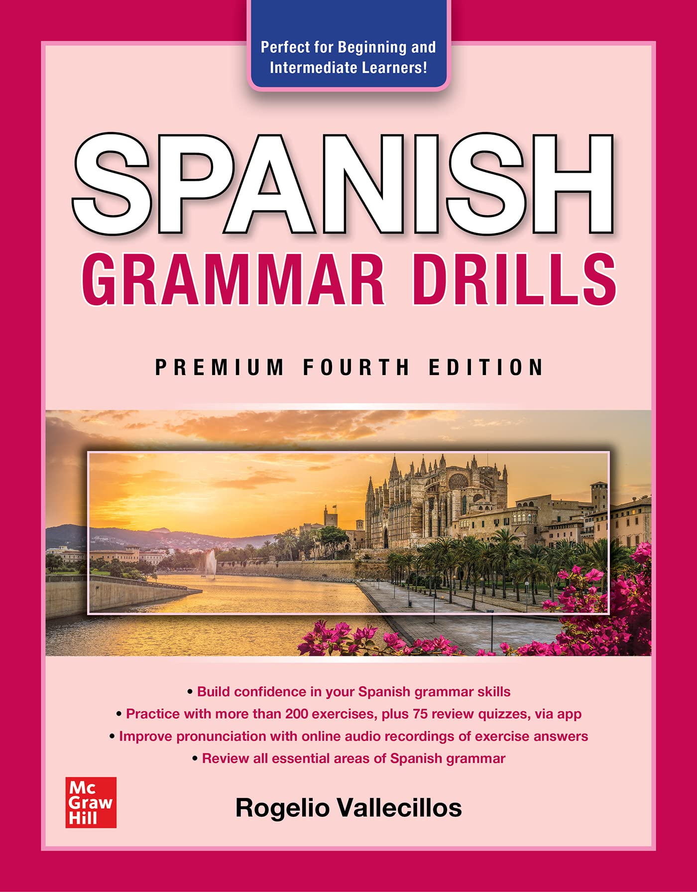 Spanish Grammar Drills - Rogelio Vallecillos