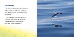 Do Flying Fish Really Fly?