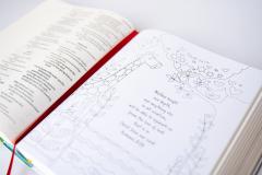 NIV Journalling Bible for Creative Contemplation