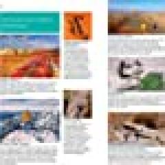 Fodor's Essential Morocco