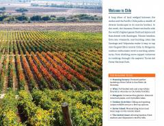 Fodor's Essential Chile