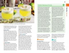 Fodor's Essential Chile