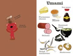 Mr. Bear's World of Food