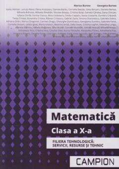 Matematica - Clasa a X-a, Filiera tehnologica