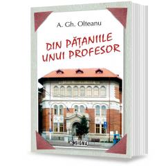 Din pataniile unui profesor