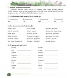 Limba romana fara taine. Culegere de gramatica pentru clasele II - IV