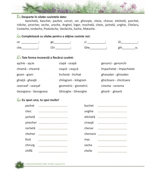 Limba romana fara taine. Culegere de gramatica pentru clasele II IV Florentina Golea