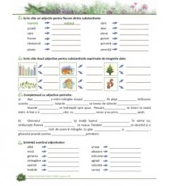 Limba romana fara taine. Culegere de gramatica pentru clasele II - IV