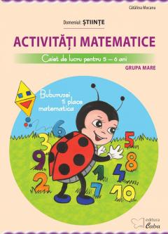 Activitati matematice - caiet de lucru pentru 5-6 ani