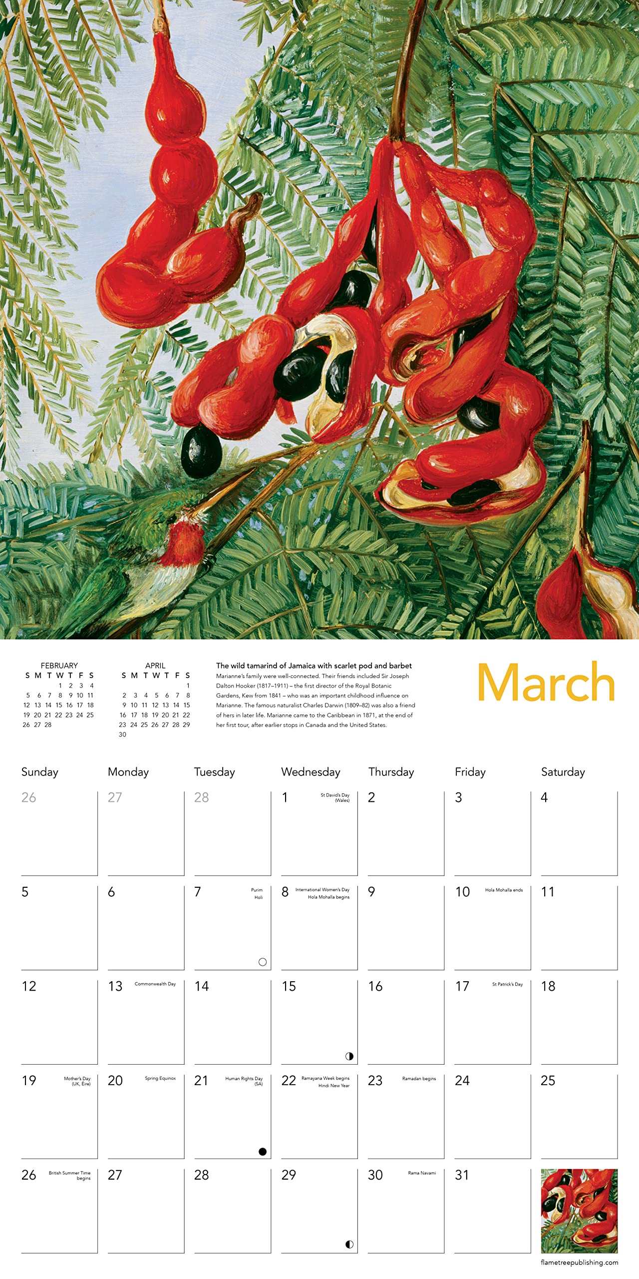 Calendar 2023 Kew Gardens Flame Tree Publishing