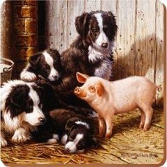 Suport pahar - Piggy In The Middle