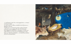 Mesajul pasarilor catre inimile copiilor