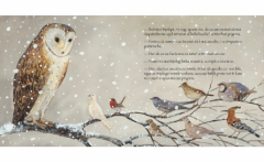 Mesajul pasarilor catre inimile copiilor