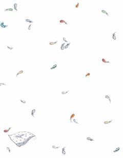 Regatul Pernelor Incalcite