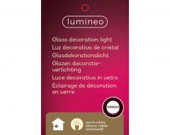 Glob decorativ - Dried Flower Filled LED Indoor -  mai multe modele