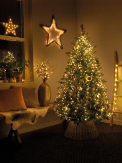 Ghirlanda de luminite - Micro LED Tree Bunch Green Wire Warm White - Outdoor